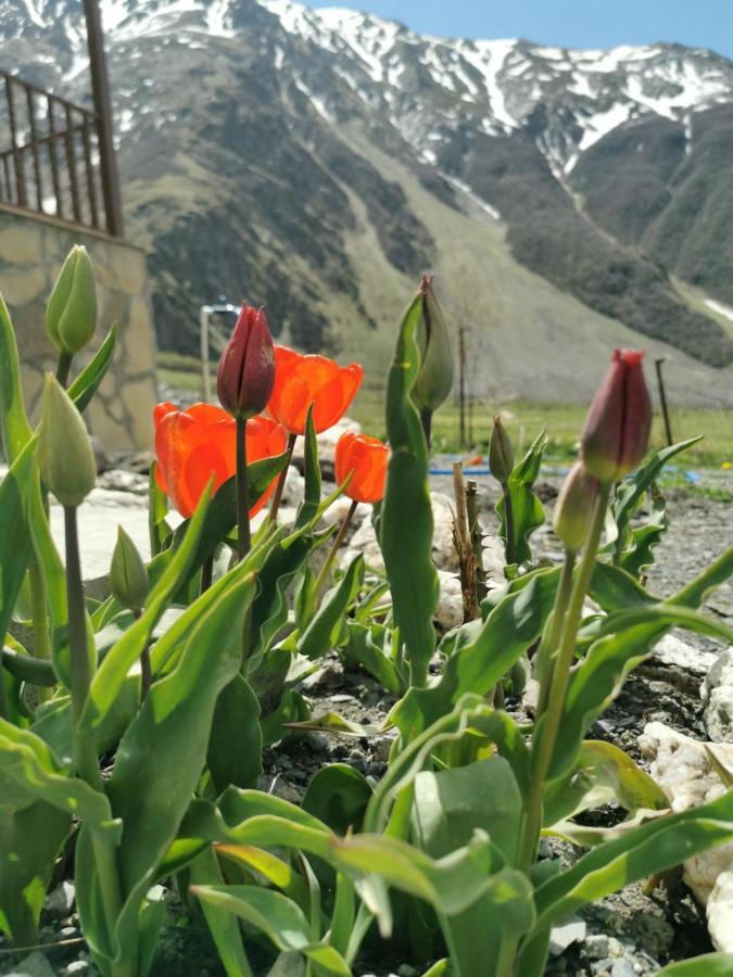 Hotel Diamond Kazbegi Buitenkant foto